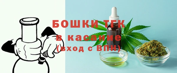 сатива Балахна