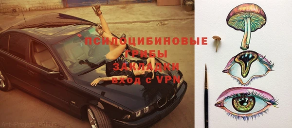сатива Балахна