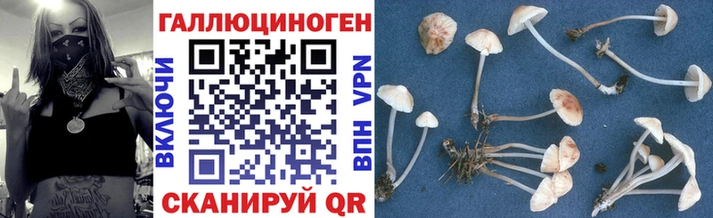 blacksprut tor  Дальнегорск  Псилоцибиновые грибы Cubensis 