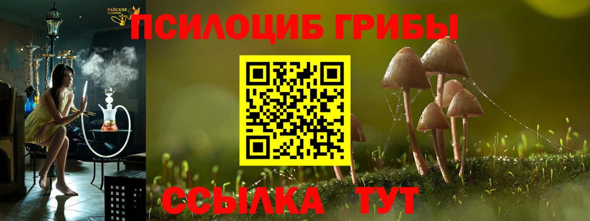 Галлюциногенные грибы ЛСД  Вход с VPN  Псилоцибиновые грибы GOLDEN TEACHER  Дальнегорск 